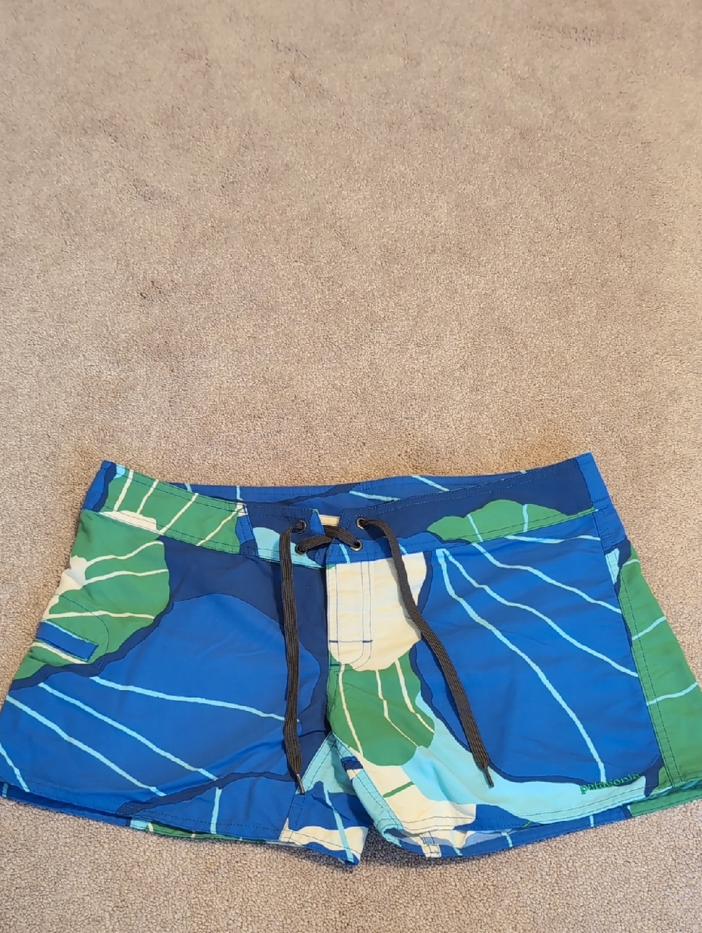Patagonia Blue & Light Green Patterned Swim Shorts